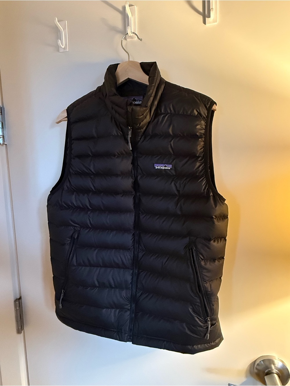Patagonia Men's Black Down Vest